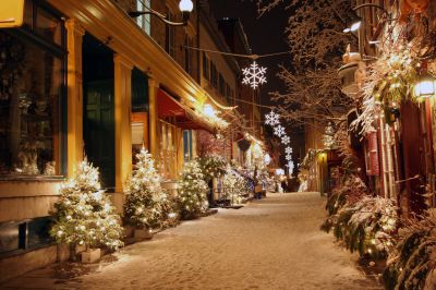Christmas Lights Installation