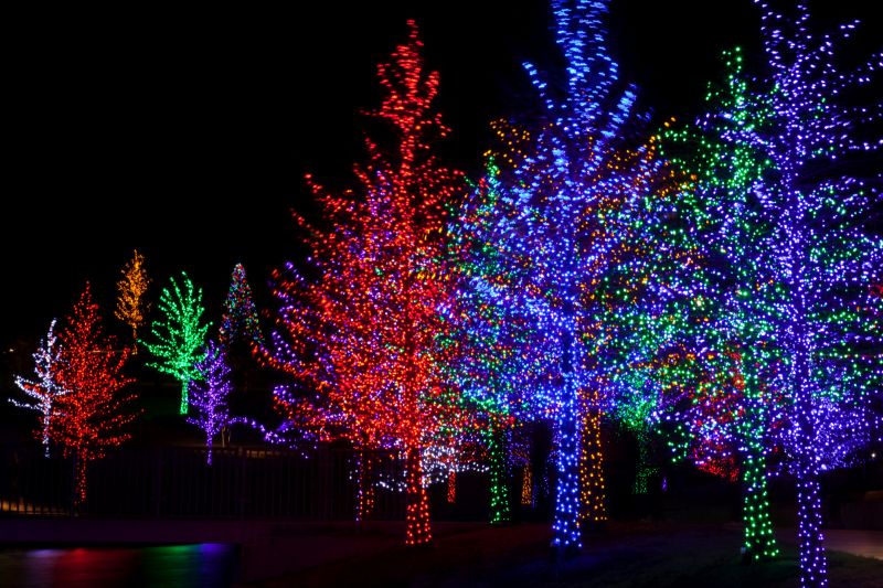 Christmas Lights Installation