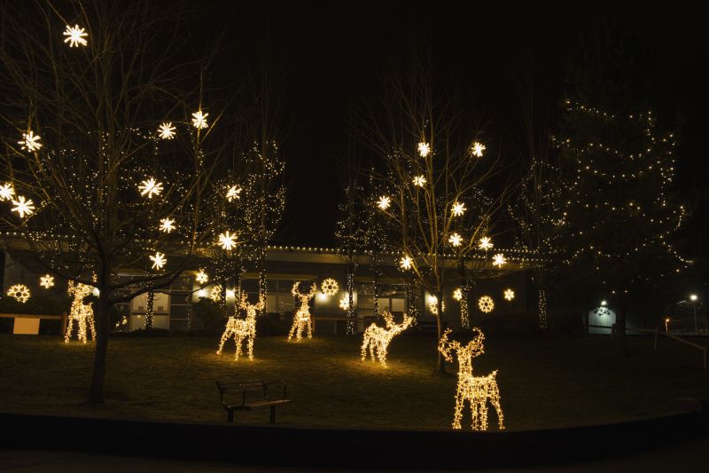 Decorative Light Features